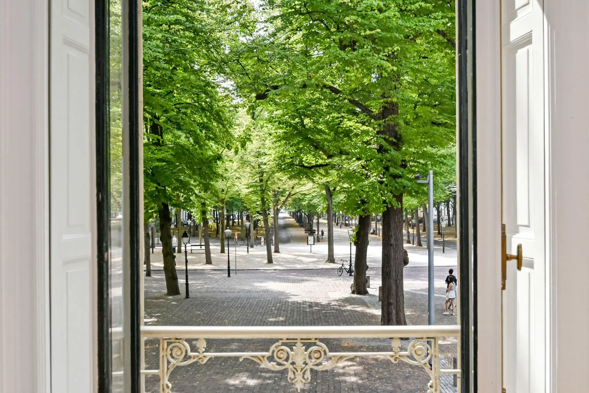 Uitzicht vanuit een open raam op de met bomen omzoomde Lange Voorhout in Den Haag.